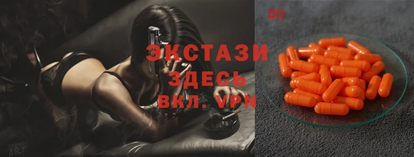 шишки Аркадак