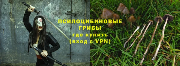 тгк Арсеньев