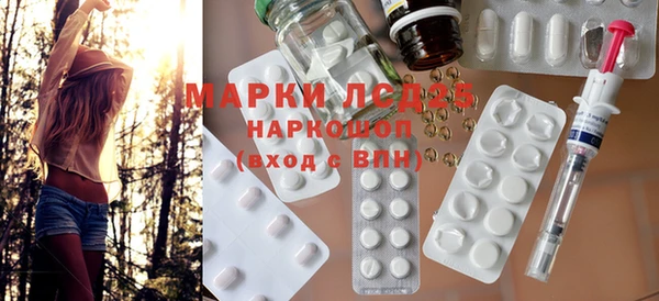 шишки Аркадак