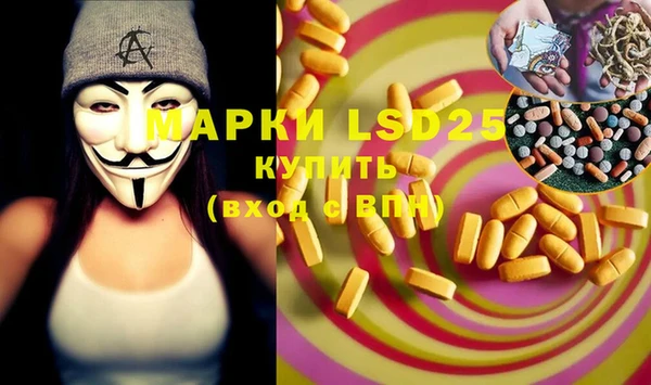 шишки Аркадак