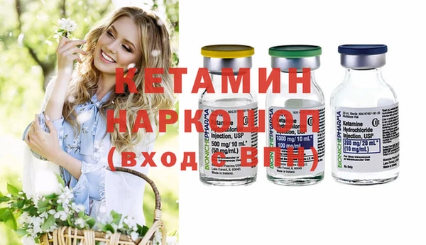 шишки Аркадак