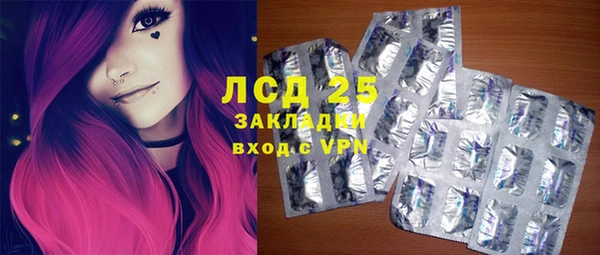 шишки Аркадак