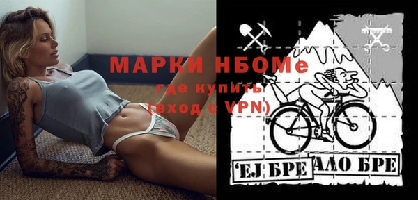 шишки Аркадак