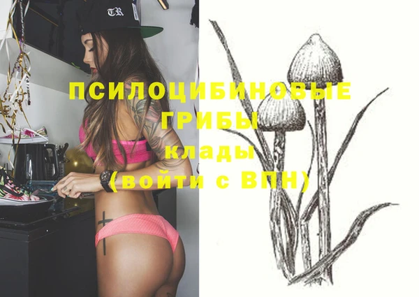 шишки Аркадак
