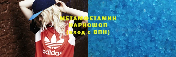 шишки Аркадак
