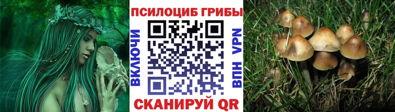 магазин продажи   hydra маркетплейс  Галлюциногенные грибы ЛСД  Дорогобуж 